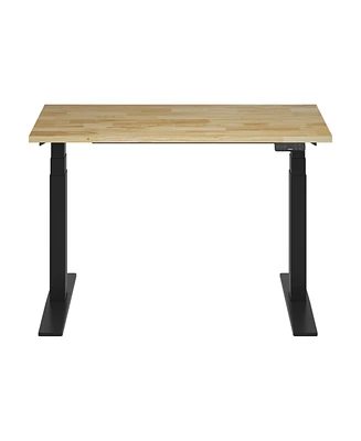 Flexispot E7-commercial 48 W Electric Adjustable Standing Desk, Rubber Wood Top, Black Base