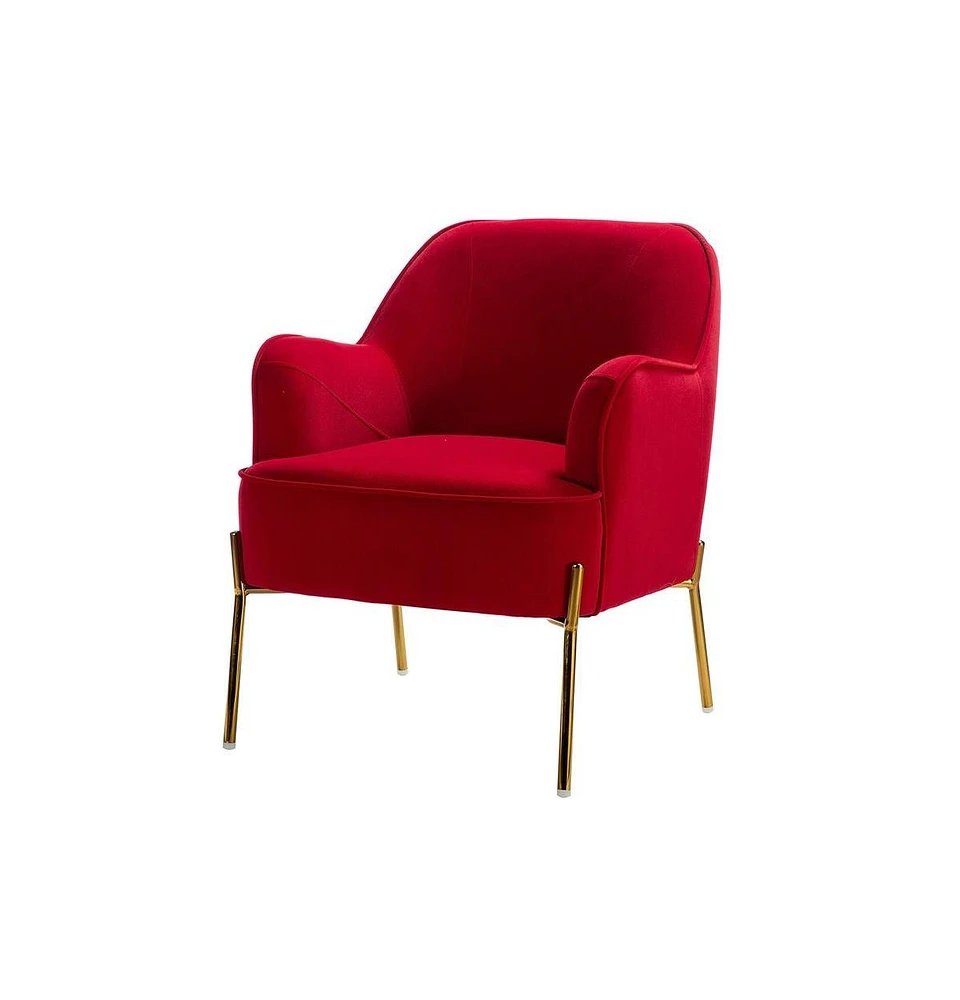 Barbara Wooden Arm Chair with Metal Legs