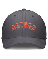 Nike Men's Charcoal Houston Astros Swoosh Performance Flex Hat