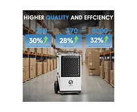 250-Pint 1-Speed Dehumidifier Energy Star (For Rooms 3001+ sq ft)