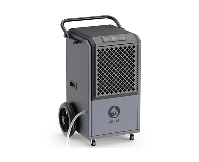 305-Pint 1-Speed Dehumidifier Energy Star (For Rooms 3001+ sq ft)