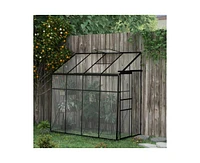 Durable Polycarbonate Lean-to Greenhouse for Outdoor Gardening