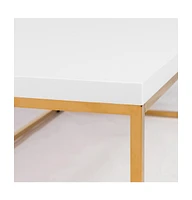 Metal Coffee Table for Modern Living Room or Office Decor