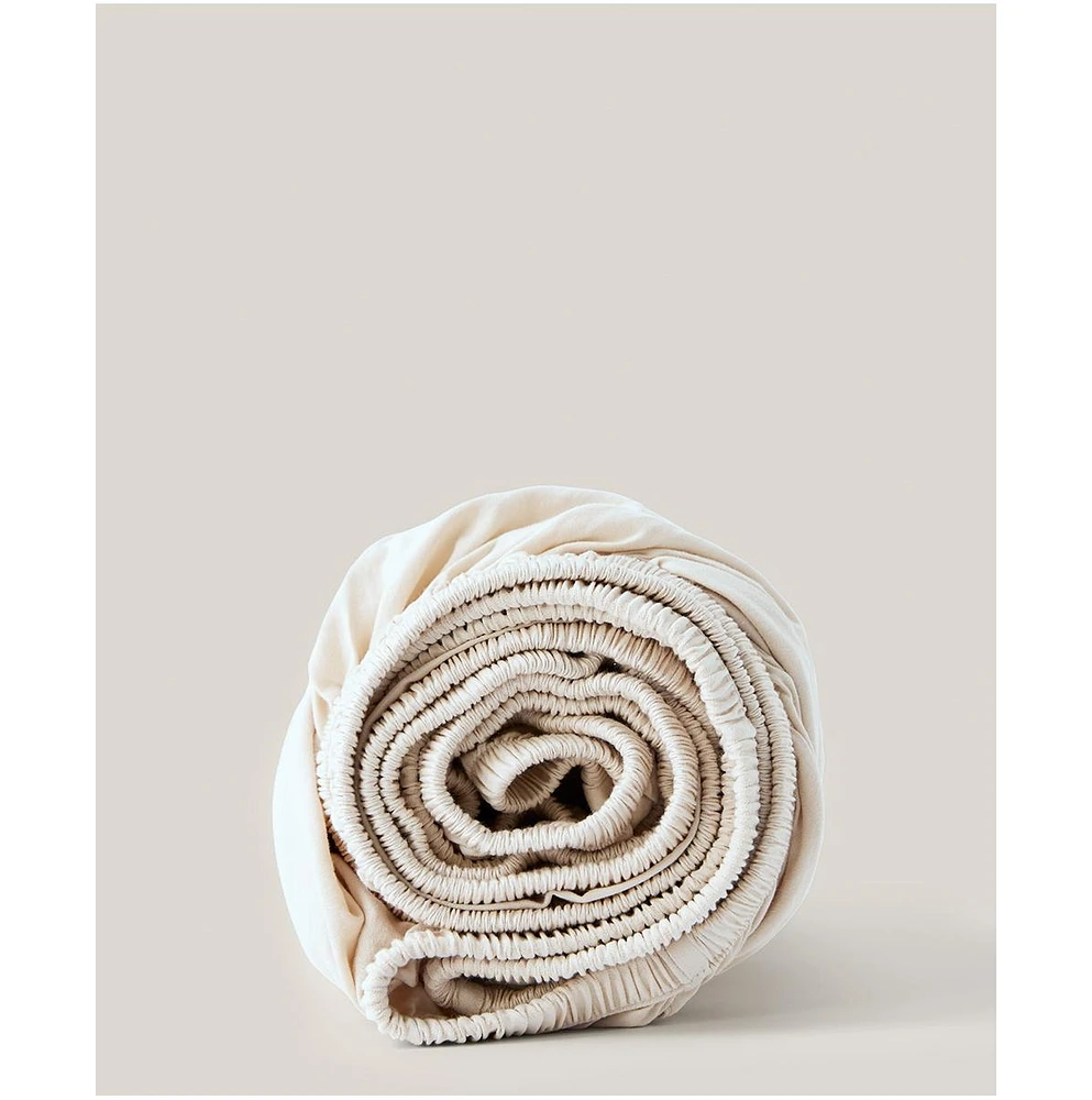 Cotton Room Service Sateen Fitted Sheet - Twin