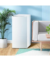 Zafro Upright Freezer, 6.0 Cu.ft Deep Freezer with Reversible Single Door,Removable Shelves, Small Stand Up Freezer with Adjustable Thermostat for Hom