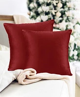 Nestl Elegant Velvet Removeable Cover 2-Pack Decorative Pillows