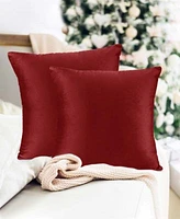 Nestl Elegant Velvet Removeable Cover 2 Pack Decorative Pillows