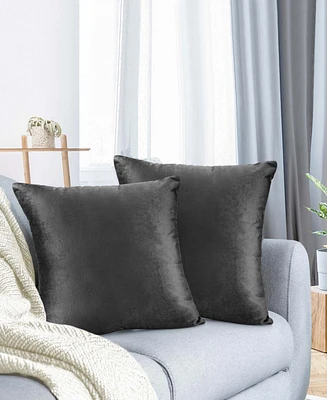 Nestl Elegant Velvet Removeable Cover 2-Pack Decorative Pillows