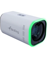BirdDog BirdDog Maki Ultra Box Camera with 12x Zoom, White