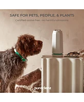 Puraclenz Photon P3000X Air Purifier for Home, Air & Surface Purification, Up to 3000 sqft, Removes 99% Pollutants, Mold, Odors, Viruses, & More, Ozon