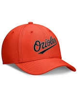 Nike Men's Orange Baltimore Orioles Rise Performance Flex Hat