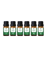 100% Pure Natural Essence Essential Oils Collection – Aromatherapy at Its Finest!