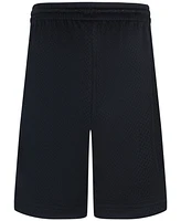 Jordan Big Boys Mesh Logo Shorts