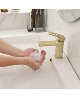 Single Hole Single-Handle Low-Arc Bathroom Faucet Water-Saving Vanity With Drain Kit Brushed Gold