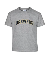 Soft As A Grape Big Boys and Girls 2-Pack Navy/Heather Gray Milwaukee Brewers T-Shirt Set