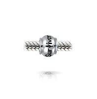 Bling Jewelry Set of 2 Ribbon Breast Cancer Survivor Message Dangle Charm Bead Sterling Silver for European Bracelet