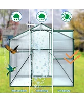 6'x8' Polycarbonate Greenhouse - Walk-in