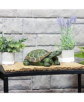 Terrance the Tortoise 9-Inch Long Polystone Indoor/Outdoor Garden Statue