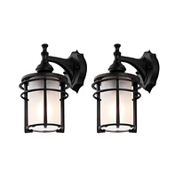 Adisyn 8" Outdoor Sconce