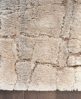 Nourison Home Dreamy Shag DRS09 5'3"x7'3" Area Rug