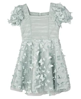 Rare Editions Toddler and Little Girls 3D Butterfly Party Dress