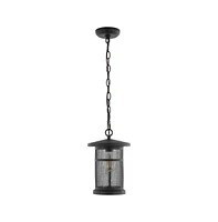 Osprey 8" Outdoor Pendant