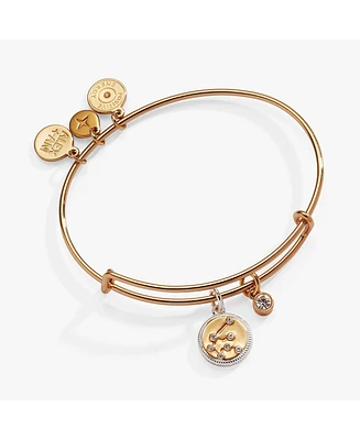 Zodiac Bangle Bracelet Aquarius