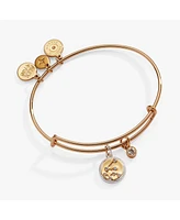 Zodiac Bangle Bracelet Aquarius