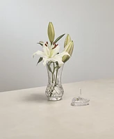 Waterford Waterford Giftology Lismore Bon Bon Vase 6", Purple Box