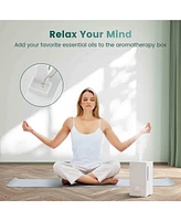 4L Ultrasonic Humidifier with Essential Oil Diffuser and 2 Mist Levels