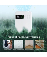 32 Pints Dehumidifier with Sleep Mode and 24H Timer for Home Basement