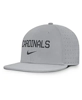 Nike Men's Gray St. Louis Cardinals True Performance Fitted Hat