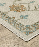 Oriental Weavers Maeve MAE07 3'3''x5' Area Rug
