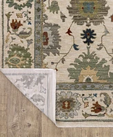 Oriental Weavers Eliana ELI10 9'10"x12'10" Area Rug