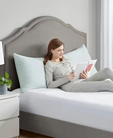 Sleep Philosophy Rayon from Bamboo Shredded Memory Foam Body Pillow