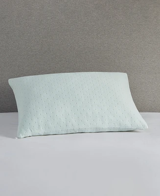 Sleep Philosophy Rayon from Bamboo Shredded Memory Foam Pillow