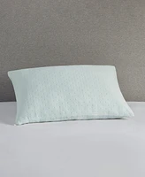 Sleep Philosophy Rayon from Bamboo Shredded Memory Foam Pillow
