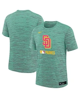 Nike Big Boys and Girls Mint San Diego Padres Authentic Collection City Connect Velocity Performance T-Shirt