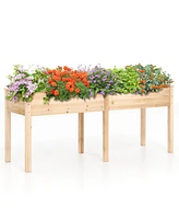 Fir Wood Outdoor Raised Garden Bed with Divider Panel and Drainage Holes
