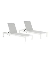 Aluminum Outdoor Chaise Lounge Set (2)