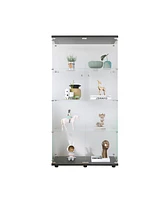 Two-door Glass Display Cabinet 4 Shelves with Door, Floor Standing Curio Bookshelf for Living Room Bedroom Office, 64.7" 31.7" 14.3", B