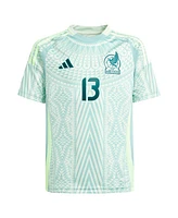 Adidas Big Boys and Girls Guillermo Ochoa Green Mexico National Team 2024 Away Replica Player Jersey