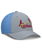 Nike Men's Light Blue/ St. Louis Cardinals Rise Swoosh Performance Flex Hat