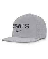 Nike Men's Gray San Francisco Giants True Performance Fitted Hat