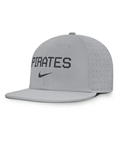 Nike Men's Gray Pittsburgh Pirates True Performance Fitted Hat