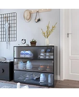 Black Glass Door Shoe Box Shoe Storage Cabinet With Rgb Led Light