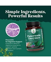 Pancreatic Digestive | Enzymes for Digestive Health, Protease Amylase & Lipase Enzymes for Digestion | 120ct