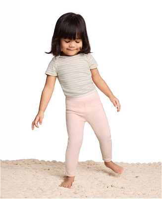 Calvin Klein Baby Girls 3-Piece Short Sleeve Bodysuit Set