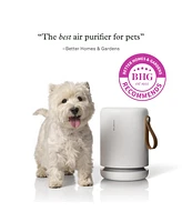Molekule Air Mini + with Peco-hepa Tri-Power Filter