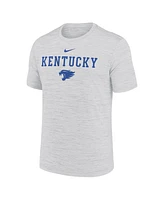 Nike Men's Ash Kentucky Wildcats 2025 Sideline Velocity Performance T-Shirt